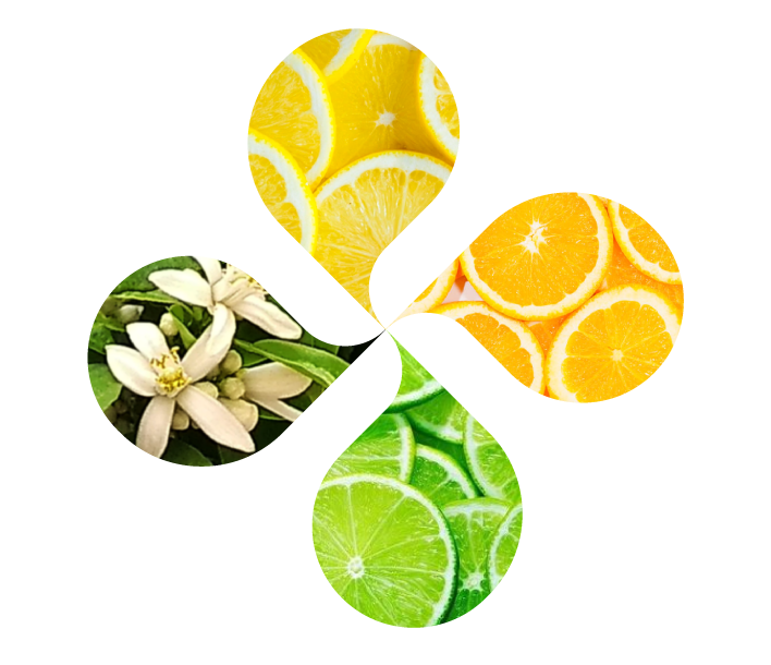 Worldwide experts in citrus flavors